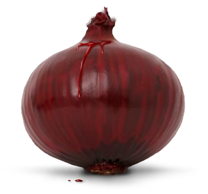 Onion PNG image, free download picture-601